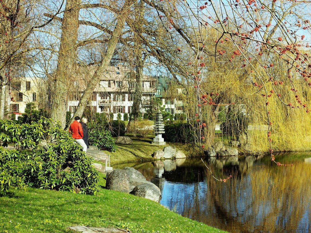 Пруд в Японском саду Кадриорга. - Aida10 