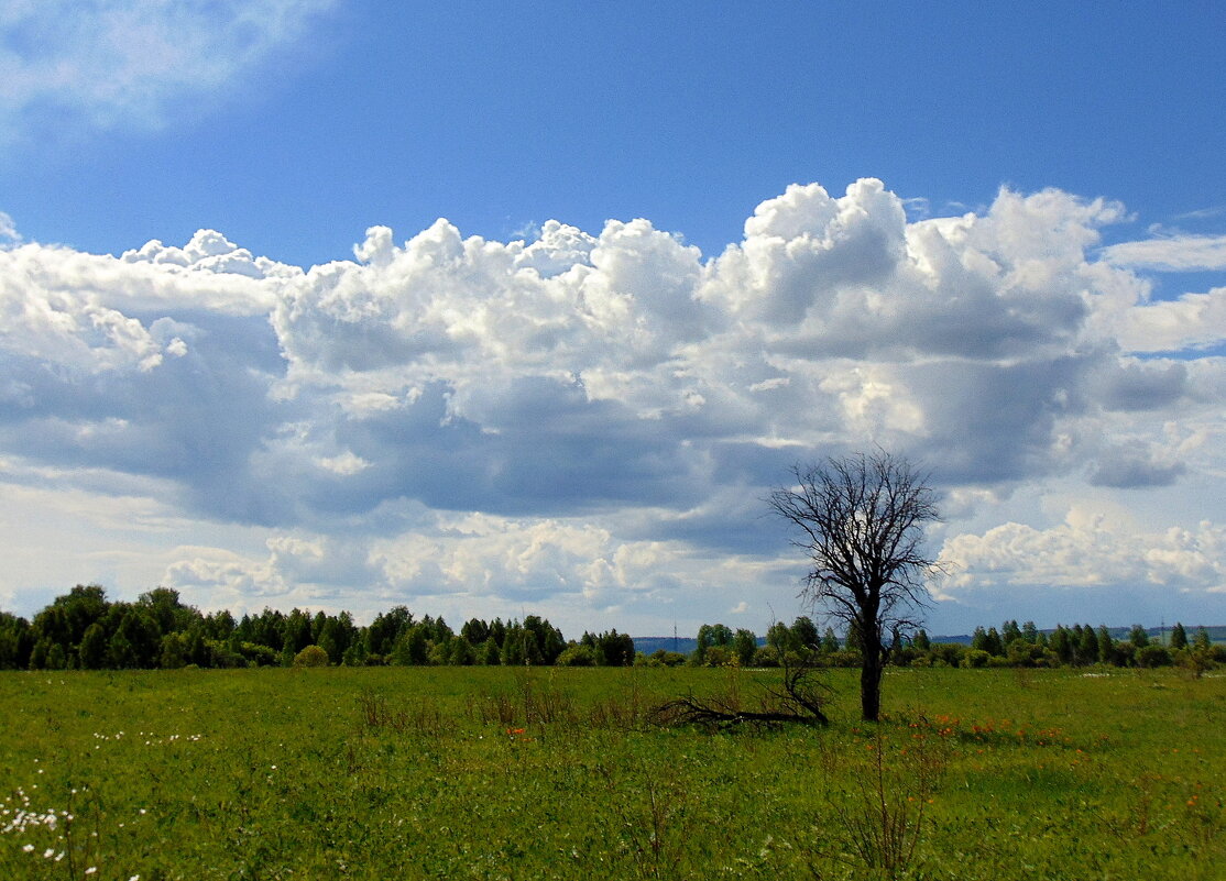 Подпирая облака. - nadyasilyuk Вознюк