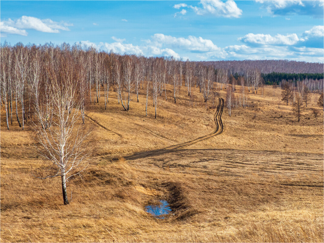 Дело было в апреле.. - Алексей Мезенцев Дело было в апреле.. - Алексей Мезенцев