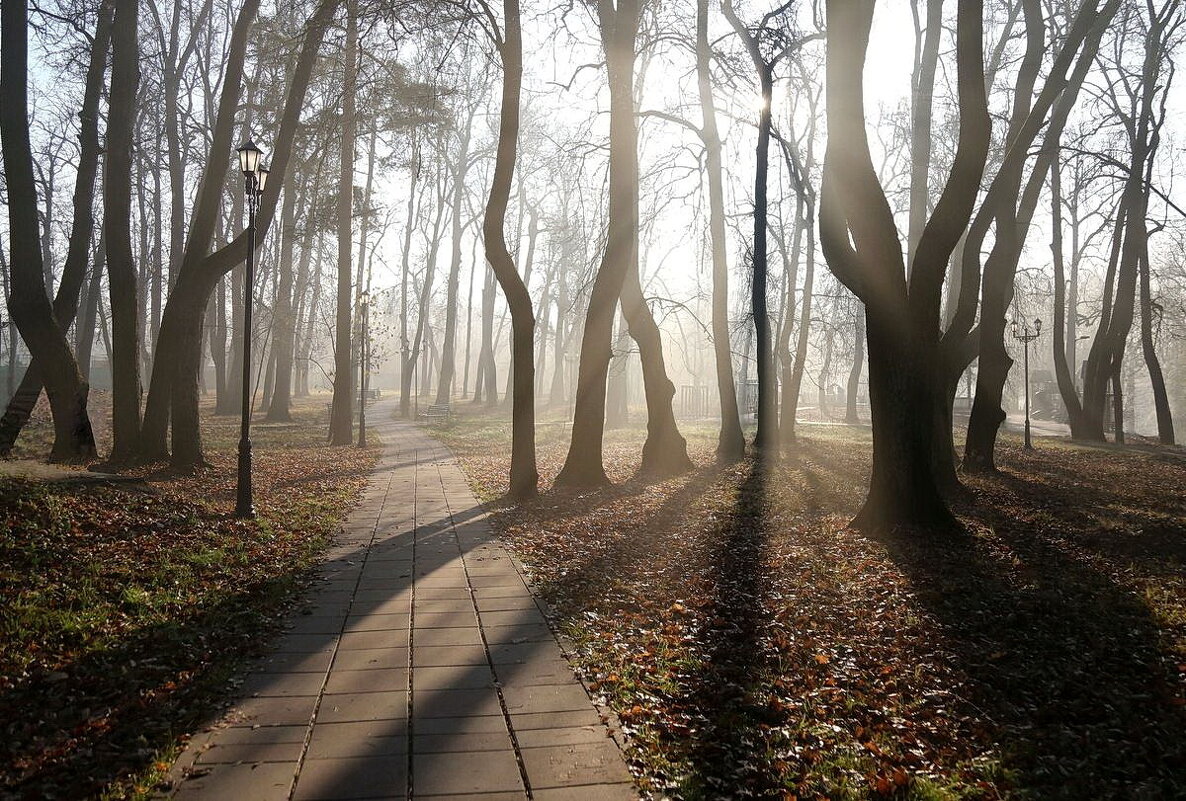 Тени - ZNatasha -