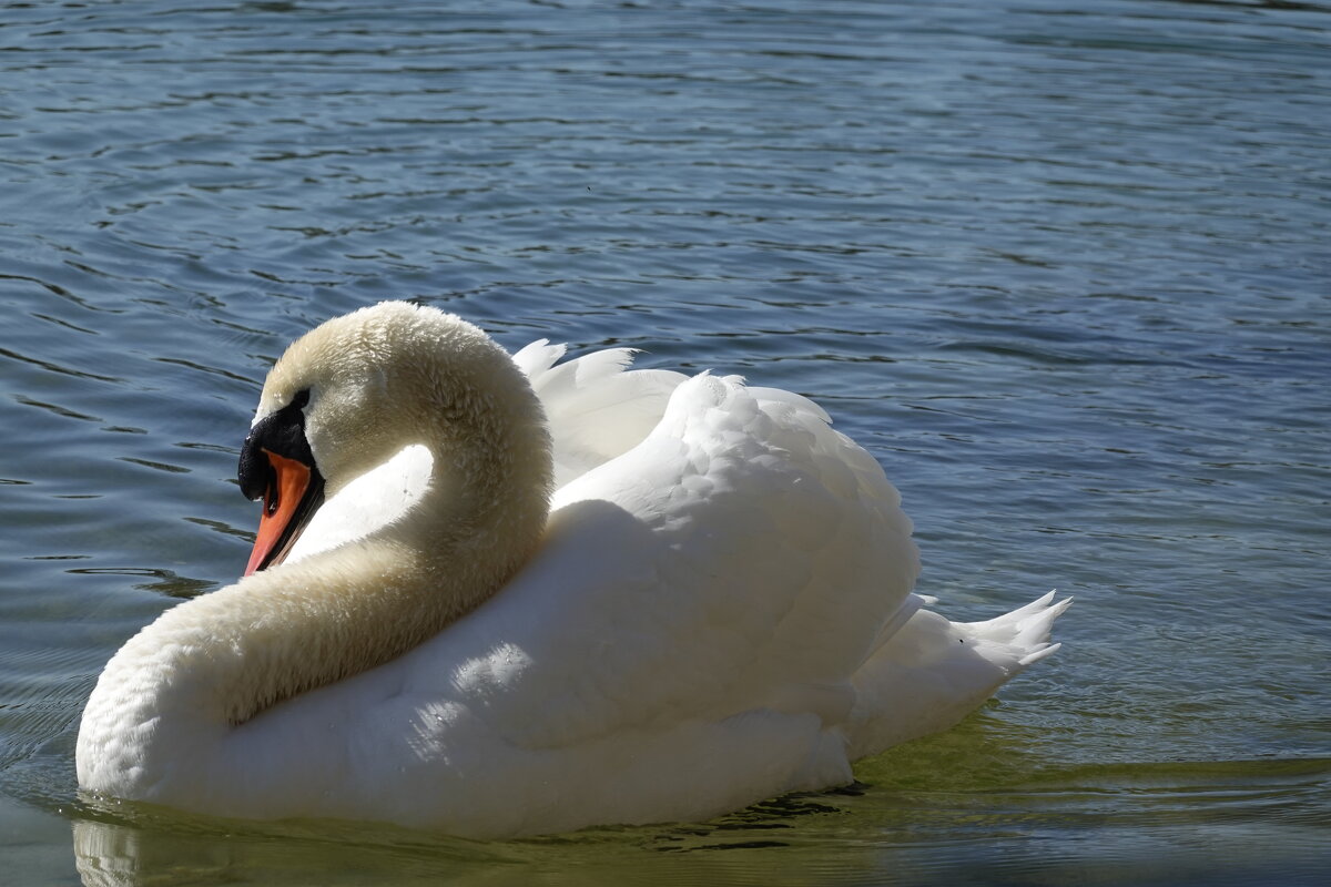 ... - Галина ... - Галина