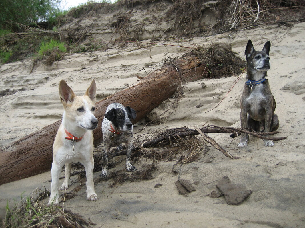 У протоки - Anna Ivanova