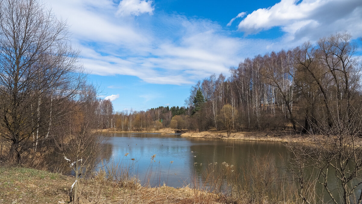 ***** - юрий поляков ***** - юрий поляков