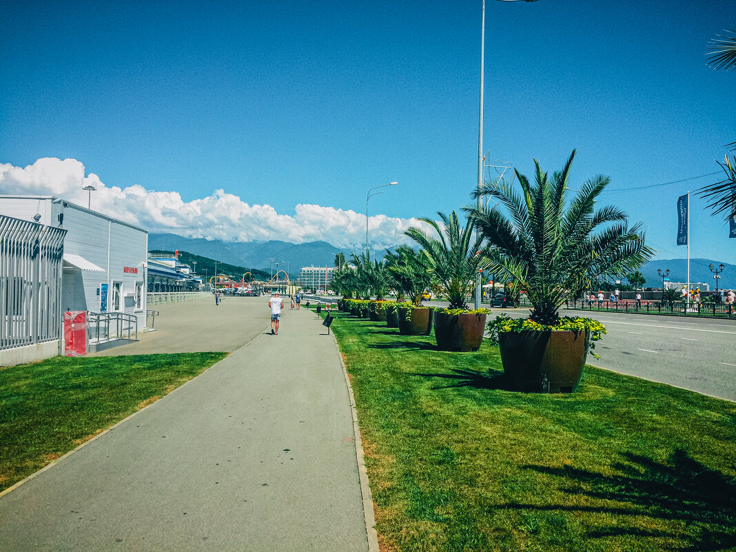 Адлер - Владимир Башко Адлер - Владимир Башко