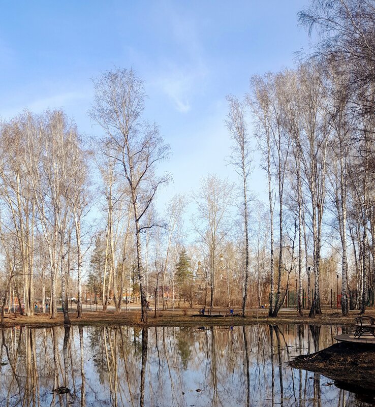 Весенний этюд . - Мила Бовкун Весенний этюд . - Мила Бовкун