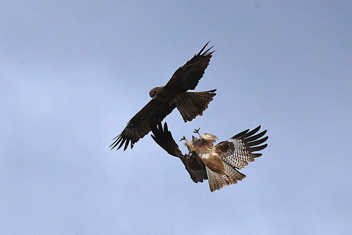 Про Высокие Отношения - Владилен Панченко
