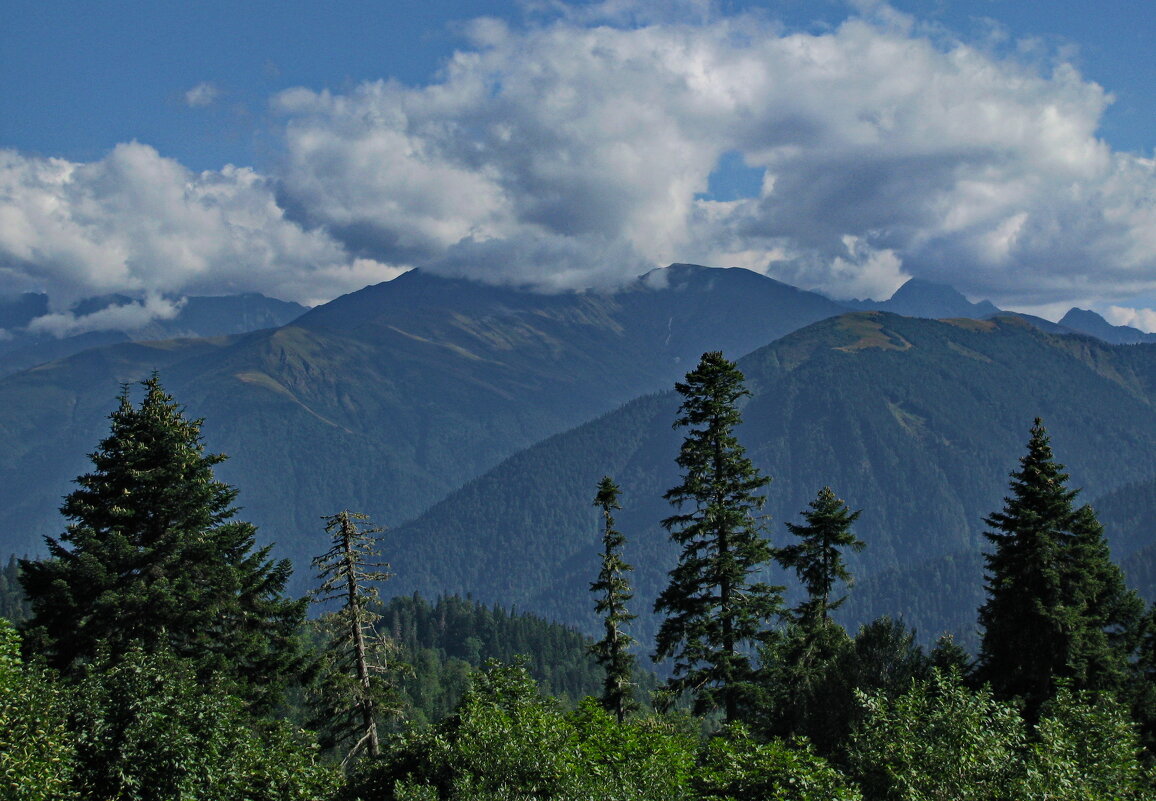 горная Адыгея - 43 - Анатолий Стрельченко горная Адыгея - 43 - Анатолий Стрельченко