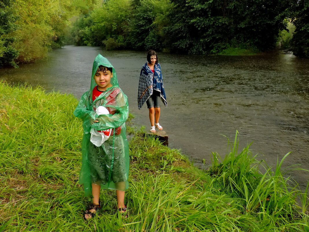 Пришли купаться, а тут дождь начался. - Татьяна Нефедьева. Пришли купаться, а тут дождь начался. - Татьяна Нефедьева.
