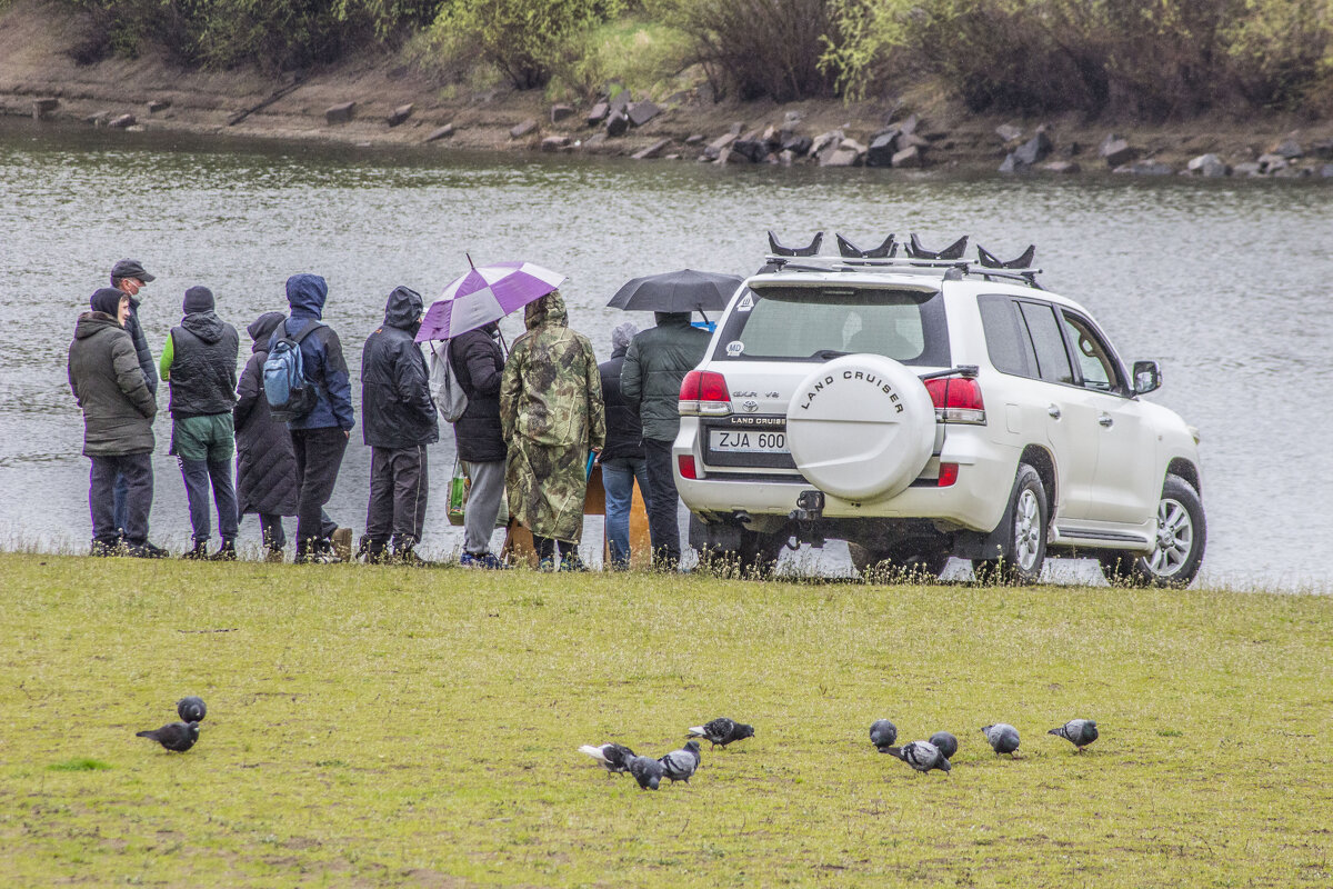 Вот судьи кто 2 - Коля Лукашов