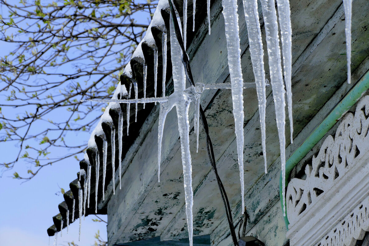 начало апреля 9 - Александр Прокудин начало апреля 9 - Александр Прокудин