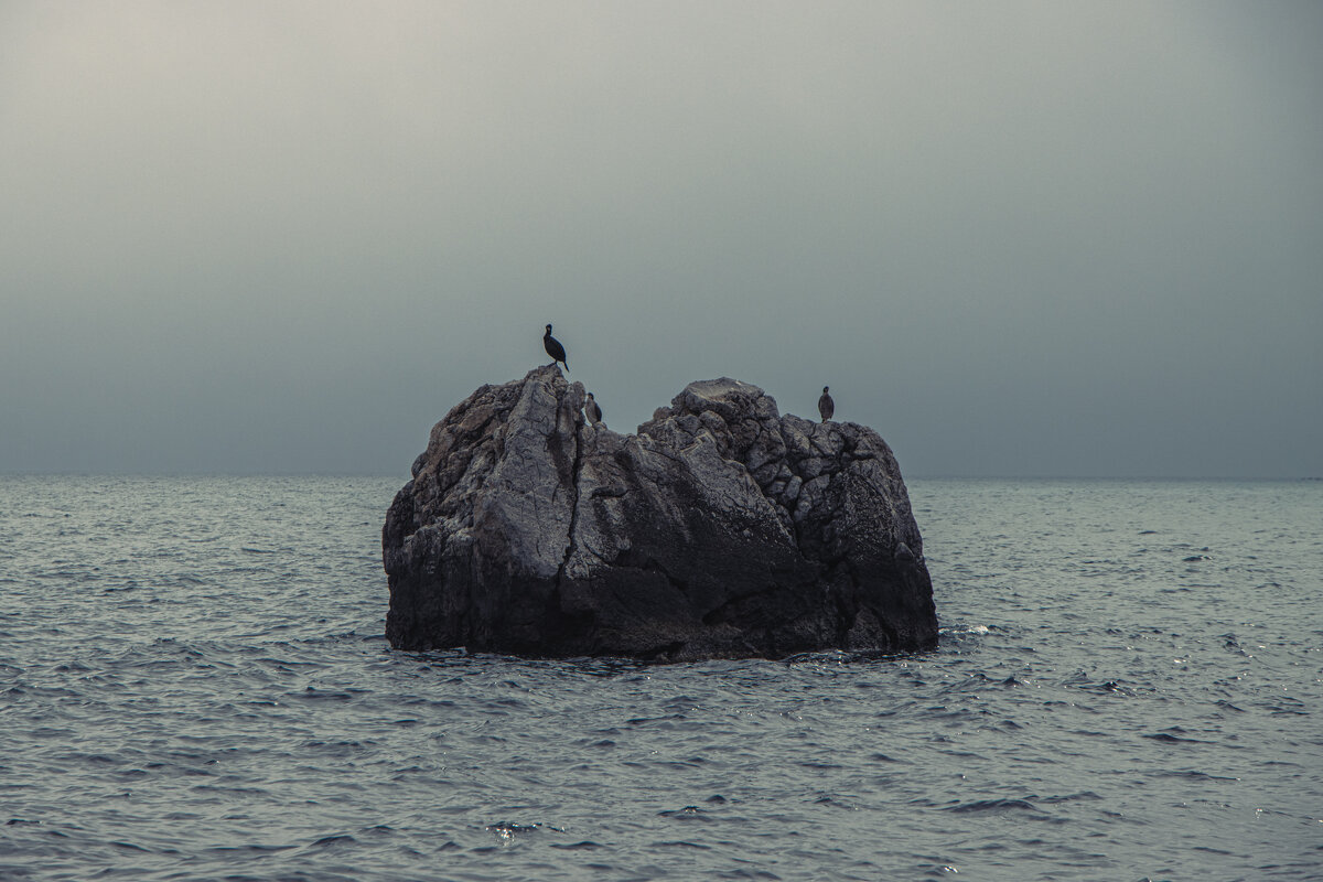 Бакланчики. - Дмитрий А