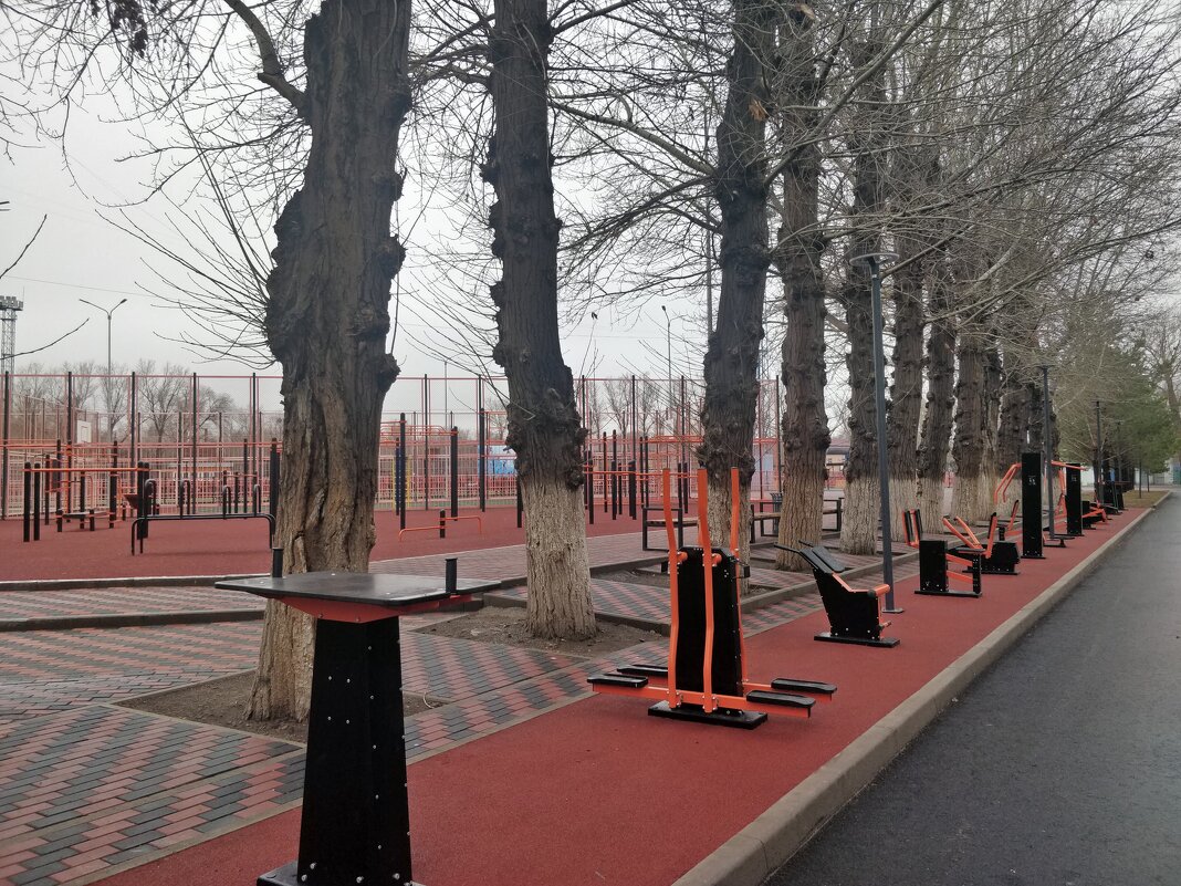 Аллея спорта и счастья - Андрей Хлопонин Аллея спорта и счастья - Андрей Хлопонин