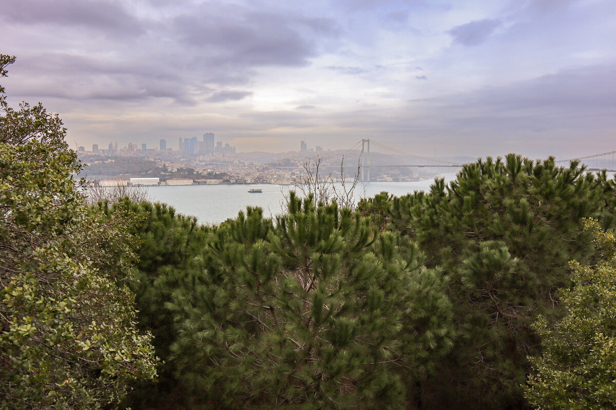 Вид на Босфор - skijumper Иванов Вид на Босфор - skijumper Иванов