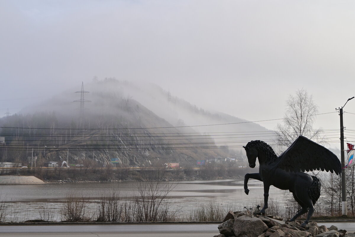 Случайные, неслучайные кадры - Владислав Левашов Случайные, неслучайные кадры - Владислав Левашов