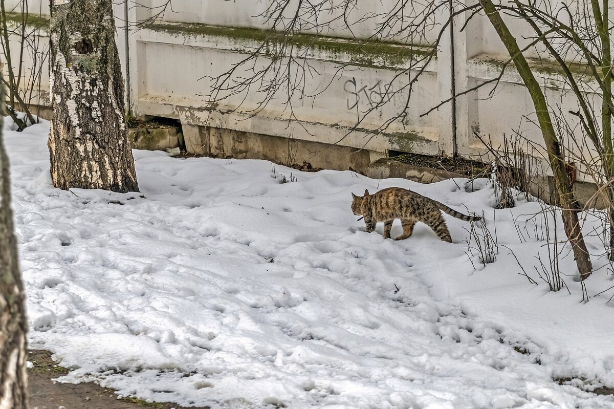 Март ещё не закончился - Валерий Иванович Март ещё не закончился - Валерий Иванович