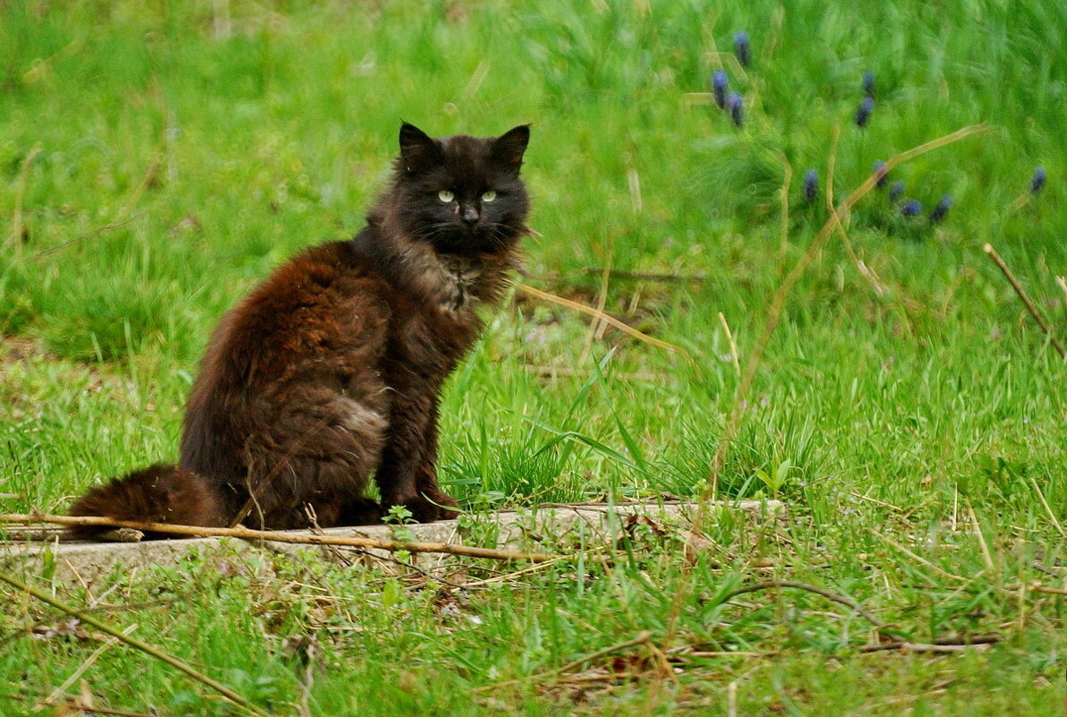 Всем привет... - Николай Саржанов Всем привет... - Николай Саржанов
