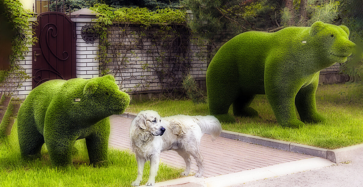 Охрана - Владимир Кроливец Охрана - Владимир Кроливец