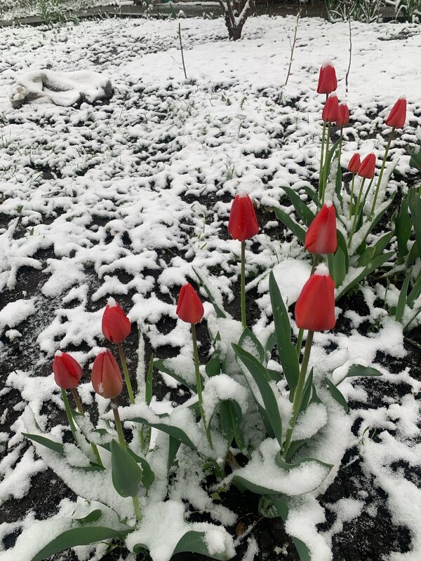 Игра природы - Maks. vip.026