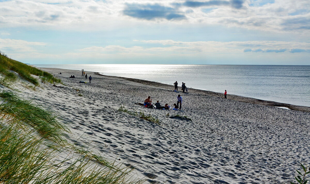 На Куршской косе - Анастасия Смирнова На Куршской косе - Анастасия Смирнова