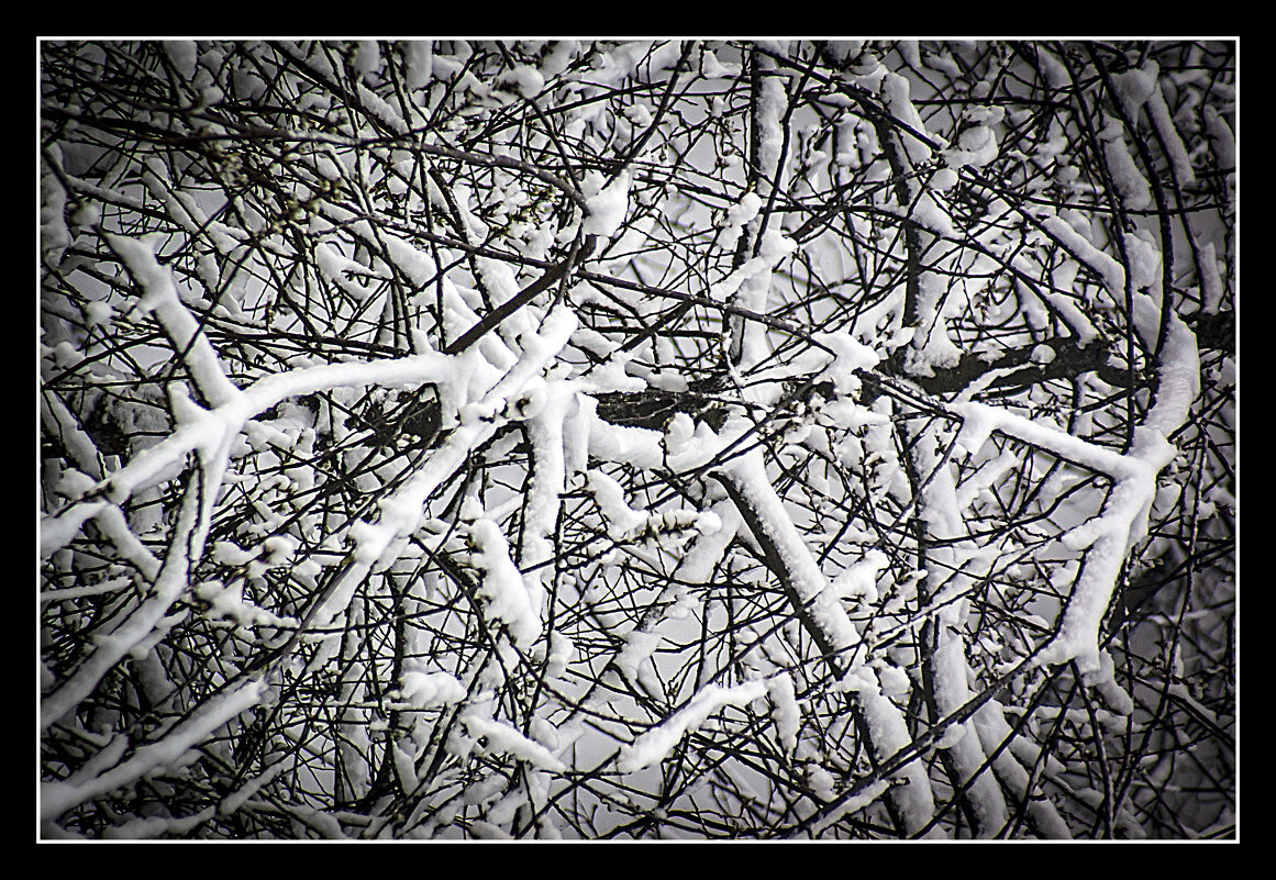 Апрельский снег - Владимир Кроливец