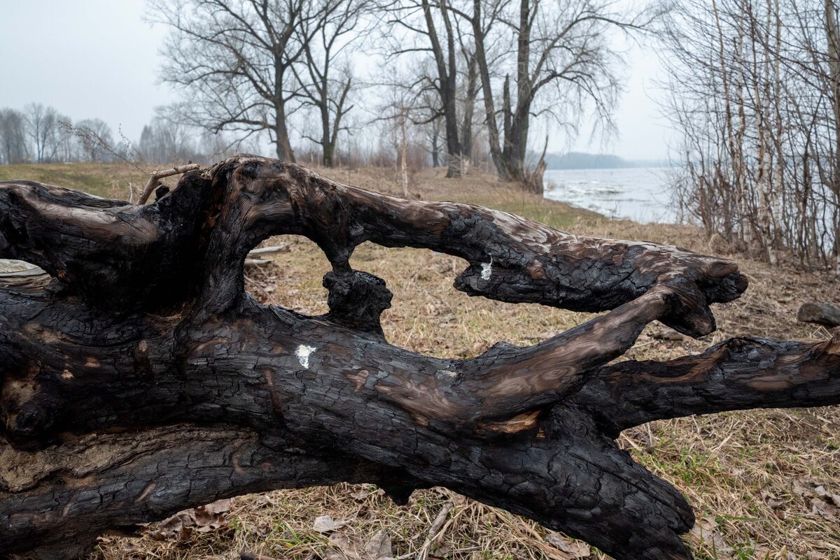 *** - Валерий Михмель 