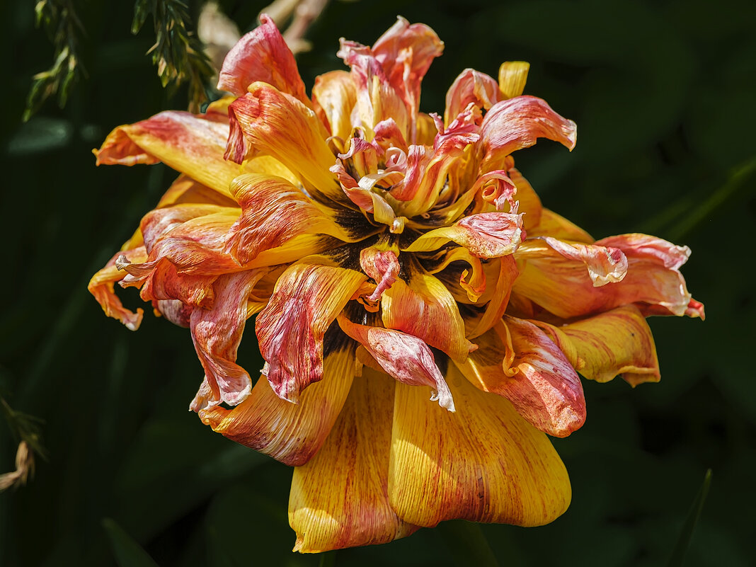 Взрыв. - Александр 