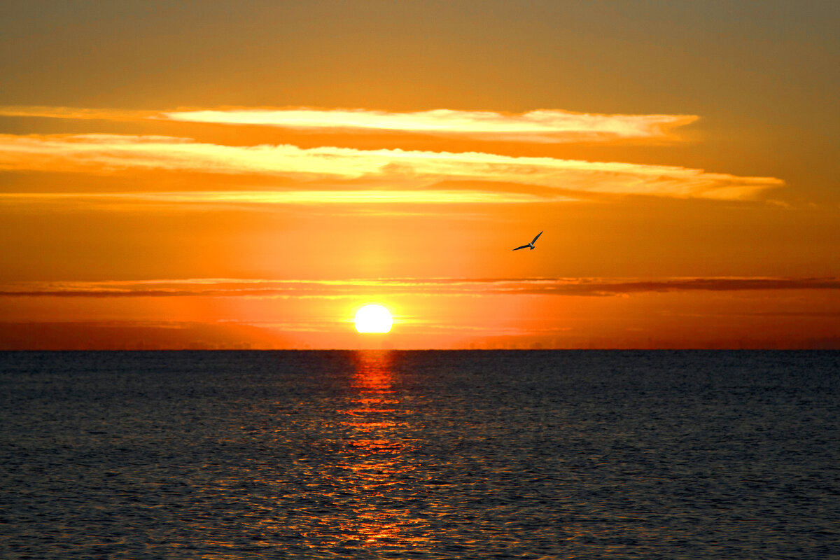 Чёрное море розовый рассвет - Геннадий Валеев Чёрное море розовый рассвет - Геннадий Валеев