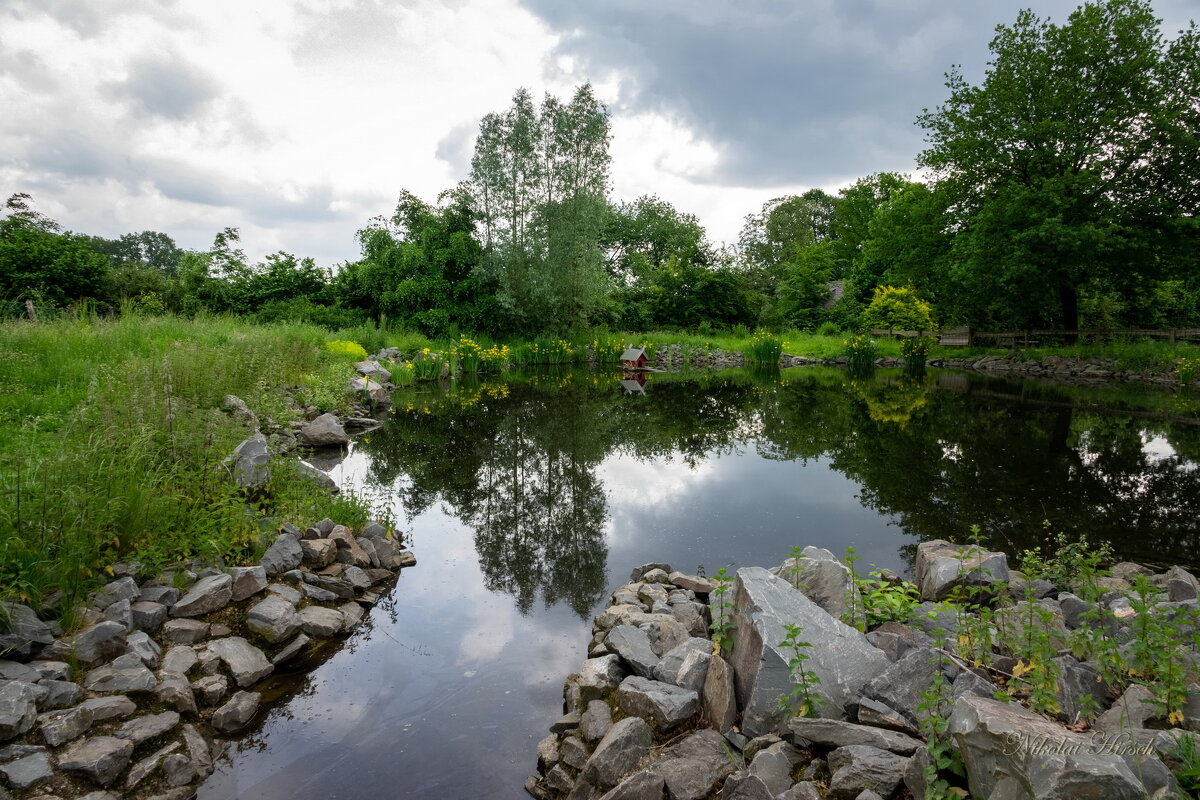 У рукотворного пруда... - Николай Гирш