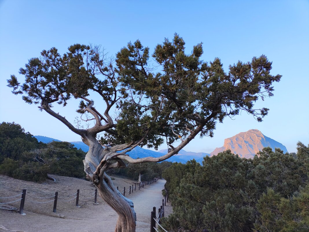 Красота - Сергей 