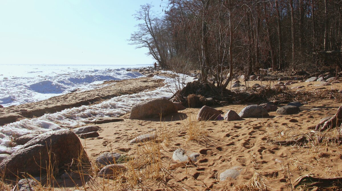 Зеленогорск. Берег залива - Наталья Герасимова Зеленогорск. Берег залива - Наталья Герасимова
