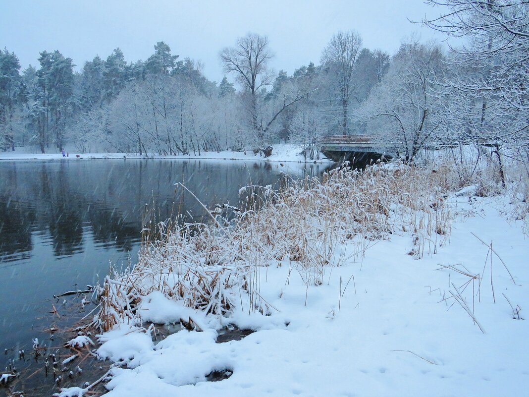 Берег после снегопада - Андрей Снегерёв Берег после снегопада - Андрей Снегерёв