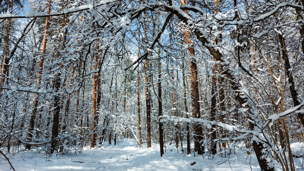 Апрельский день. - Владимир Безбородов Апрельский день. - Владимир Безбородов