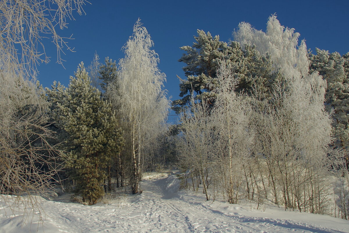 Зимний день - Сергей Швечков Зимний день - Сергей Швечков