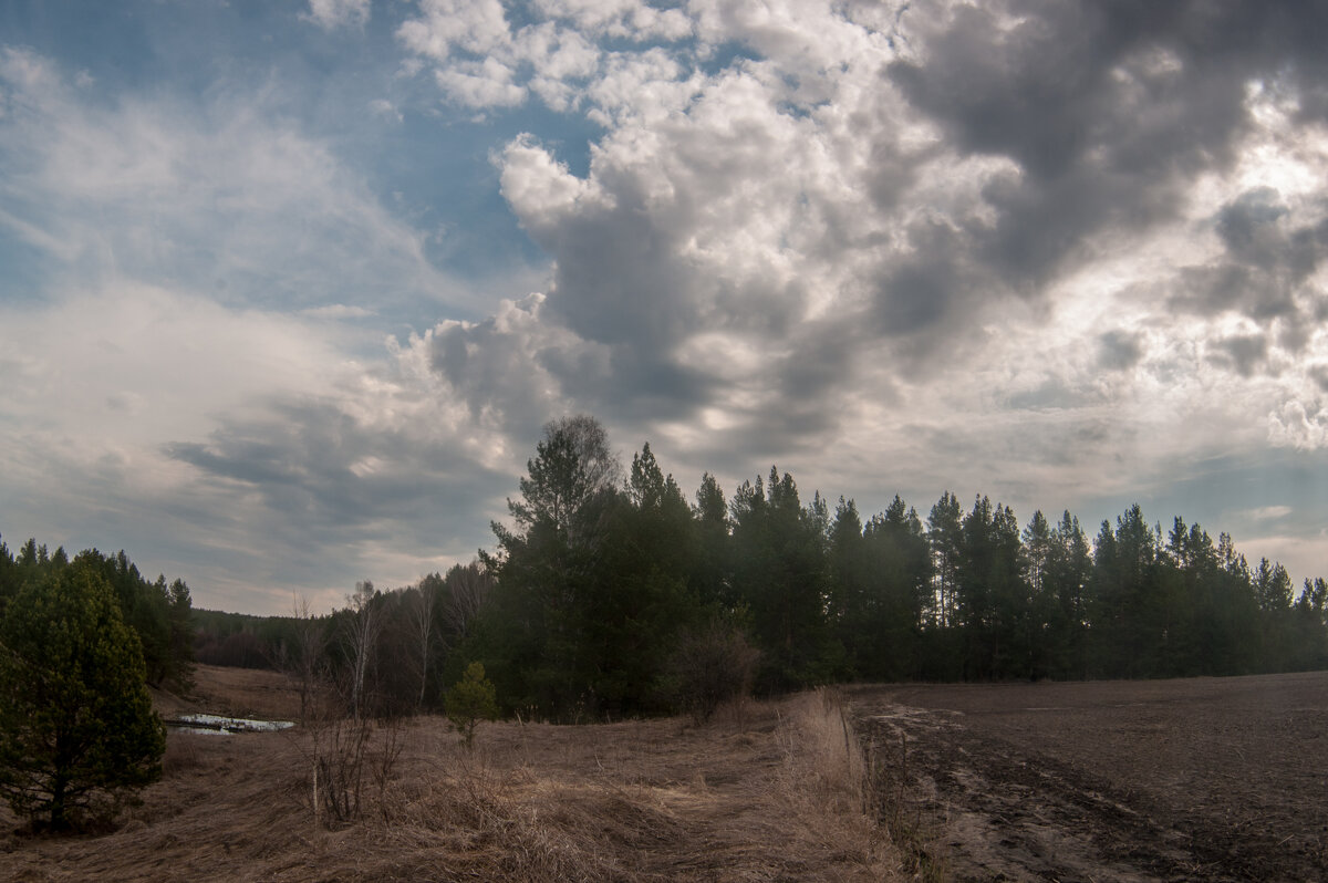 ... - Владимир Новиков