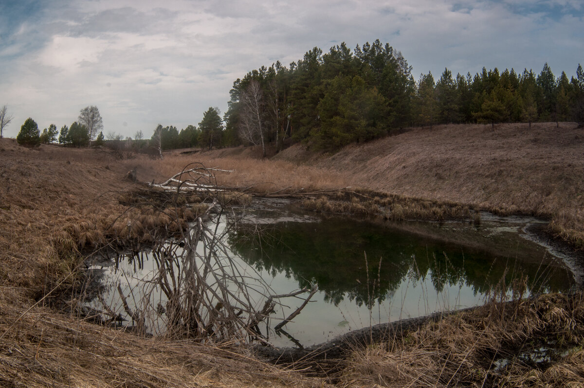 ... - Владимир Новиков