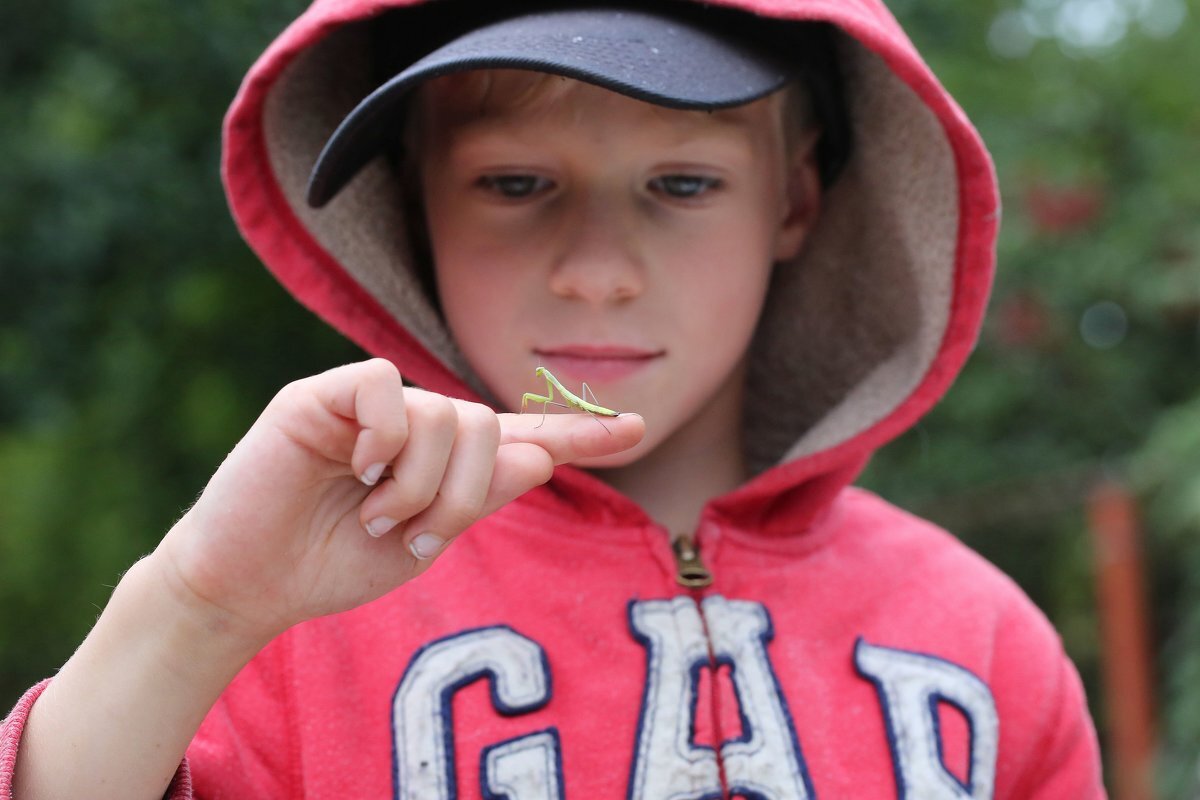 Смотрите! - ZNatasha -