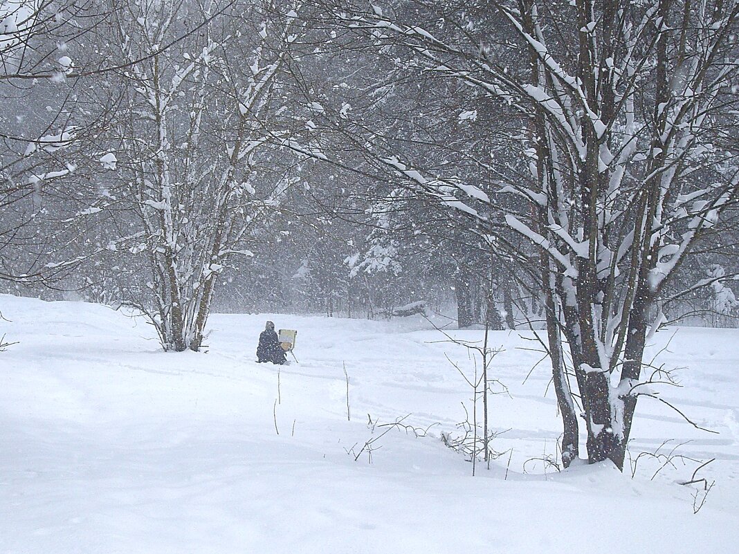 Шёл по лесу... Апрельским днём в Подмосковье - svk * Шёл по лесу... Апрельским днём в Подмосковье - svk *