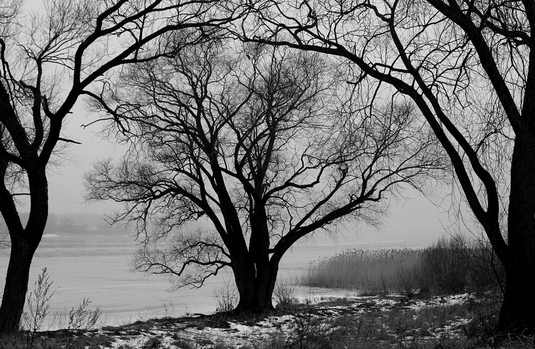 Осенний туман - Aleksandr Gal Осенний туман - Aleksandr Gal