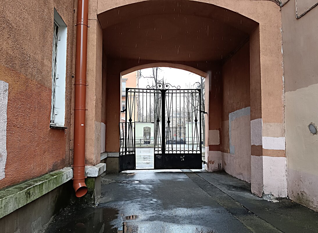 Случился дождь со снегом... - Мария Васильева