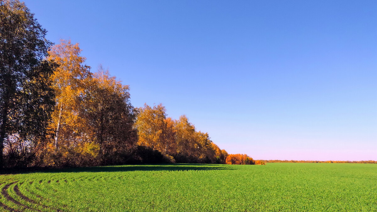 Осеннее. - Татьяна Нефедьева. 