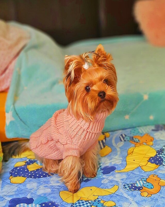 И   ЗИМА   НАМ   НЕ   СТРАШНА - Анатолий Малобродский