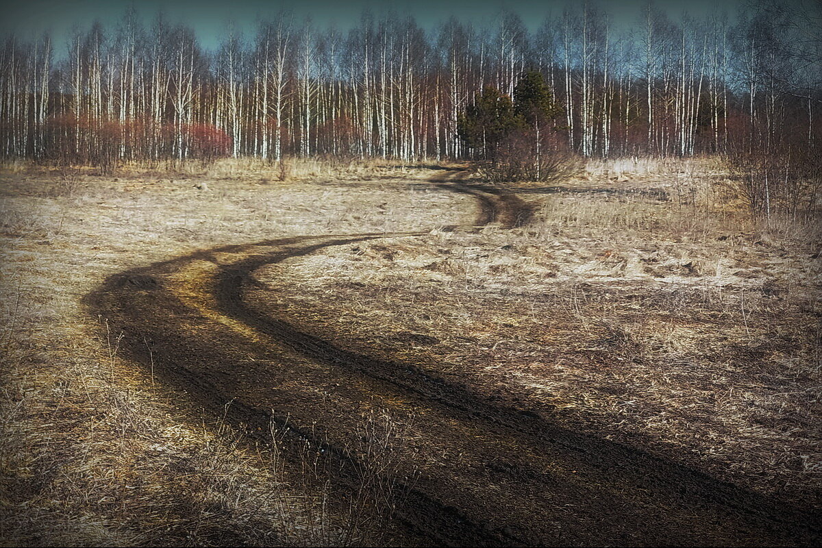 Март... - Владимир Шошин