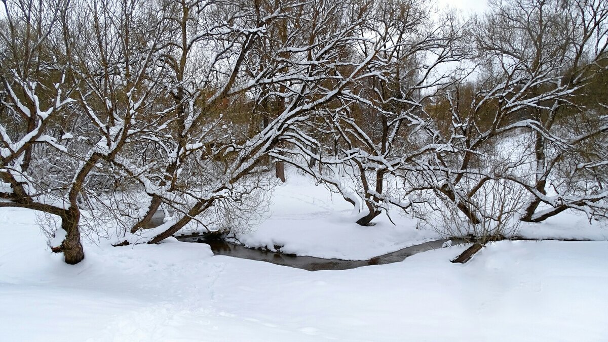 Весенне - зимний пейзаж. - Милешкин Владимир Алексеевич 