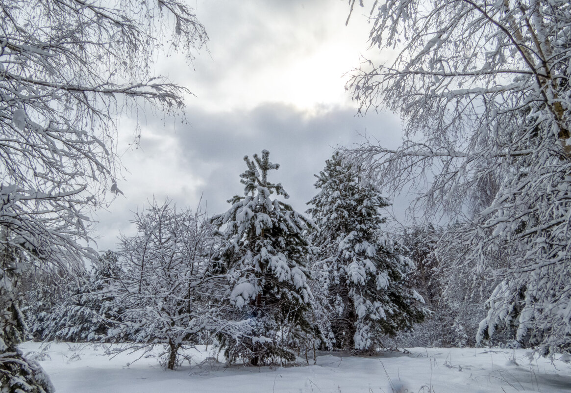 Апрельский пейзаж - Сергей Цветков Апрельский пейзаж - Сергей Цветков