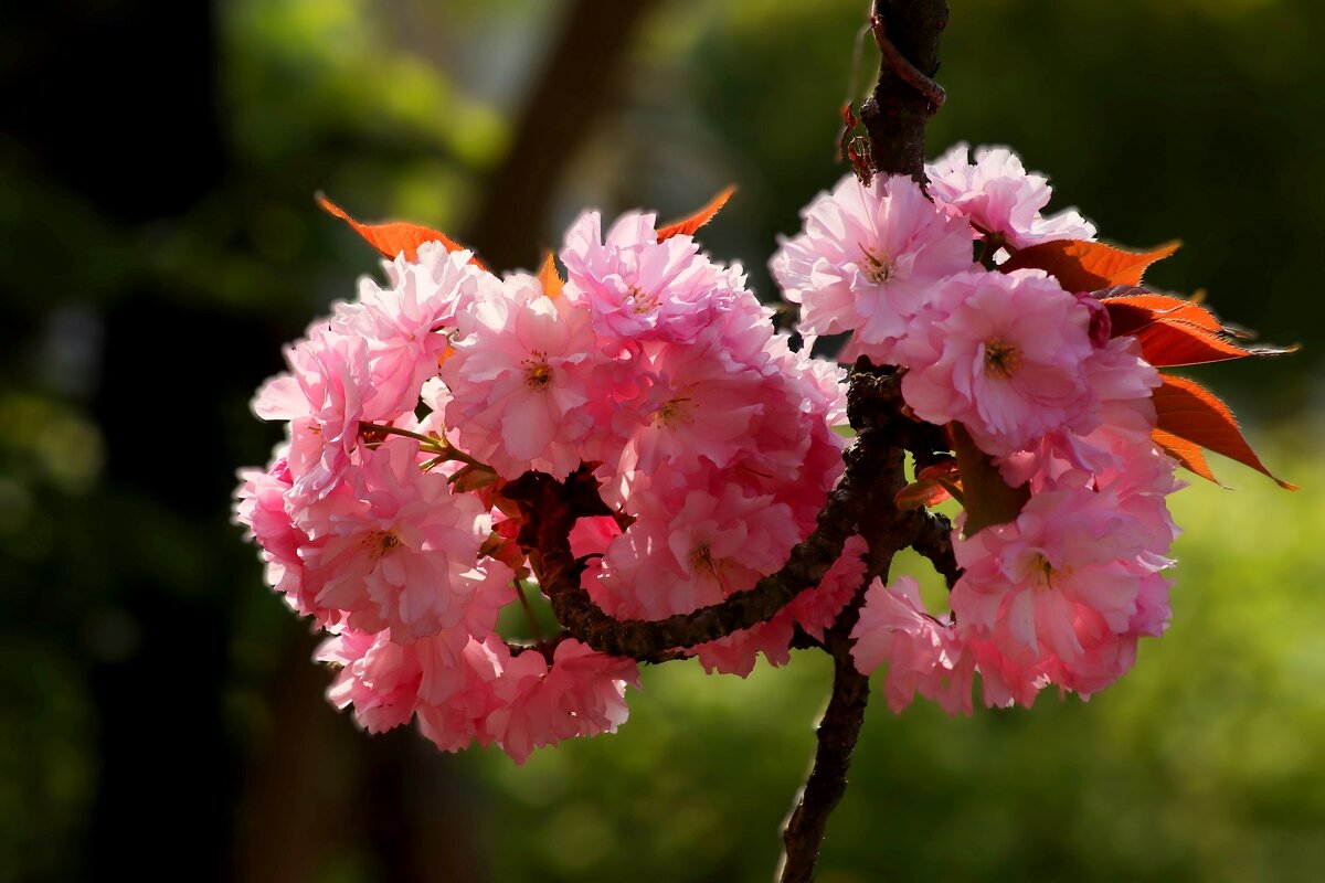 Доброе утро! - Юрий. Шмаков Доброе утро! - Юрий. Шмаков