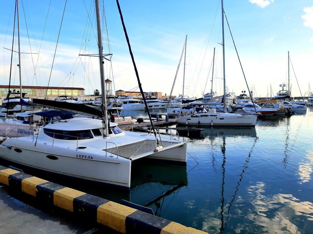 Порт Сочи. Апрель 2025 - Tata Wolf