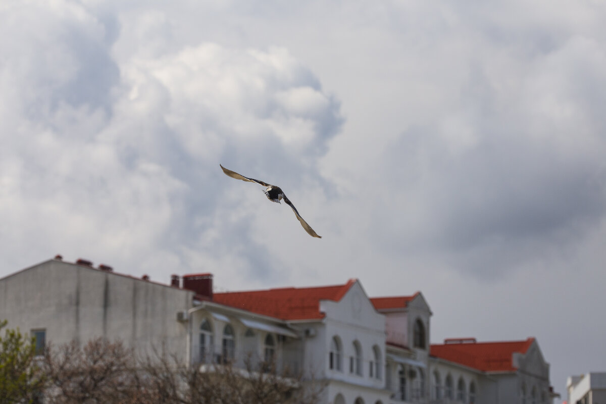 Непогода - Светлана Тихонина