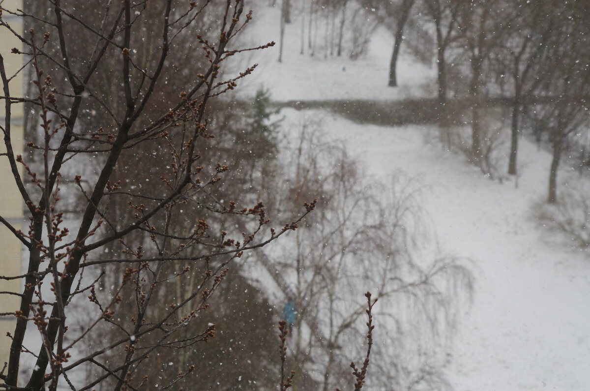 ... - Юрий Куликов