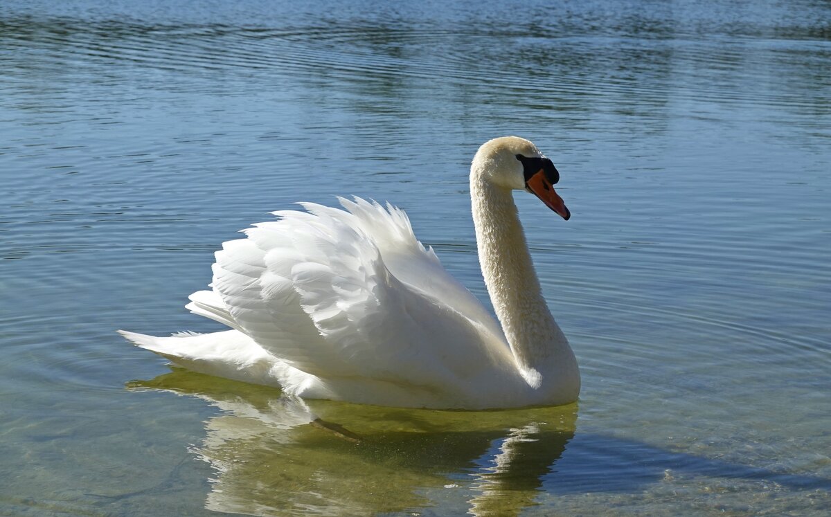 ... - Галина ... - Галина