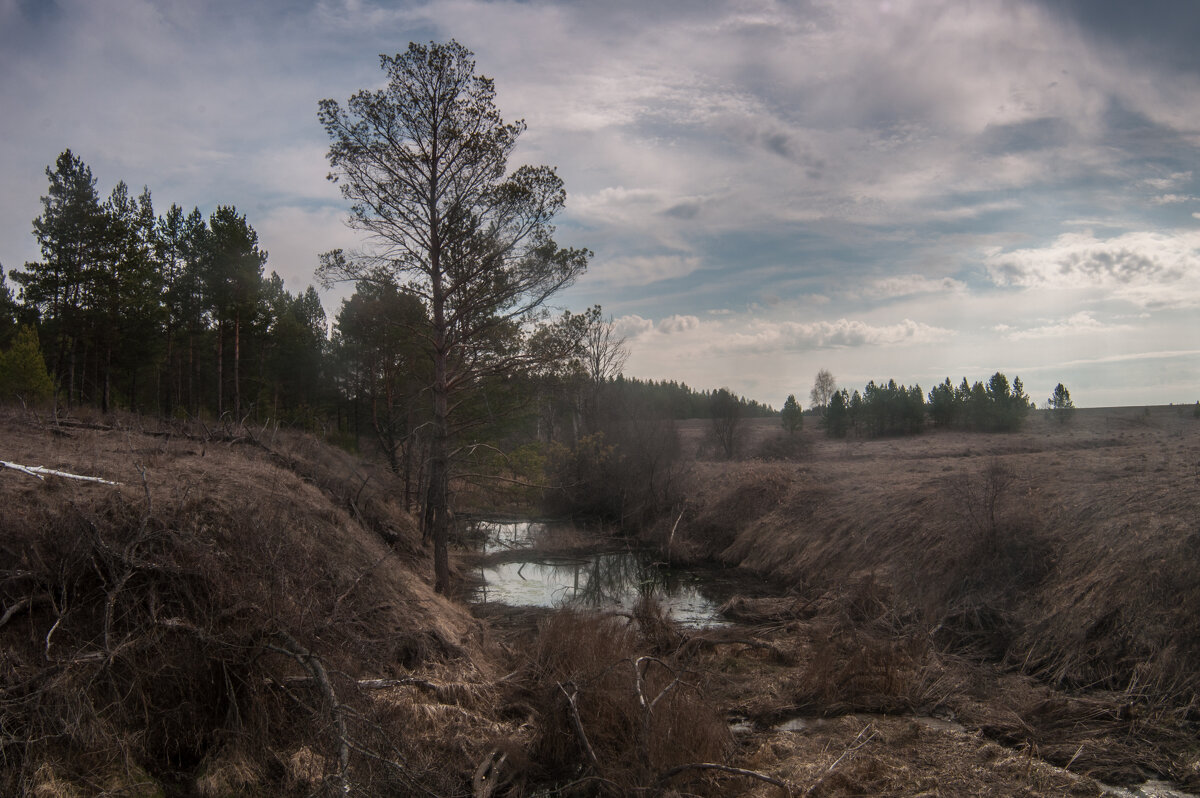 ... - Владимир Новиков